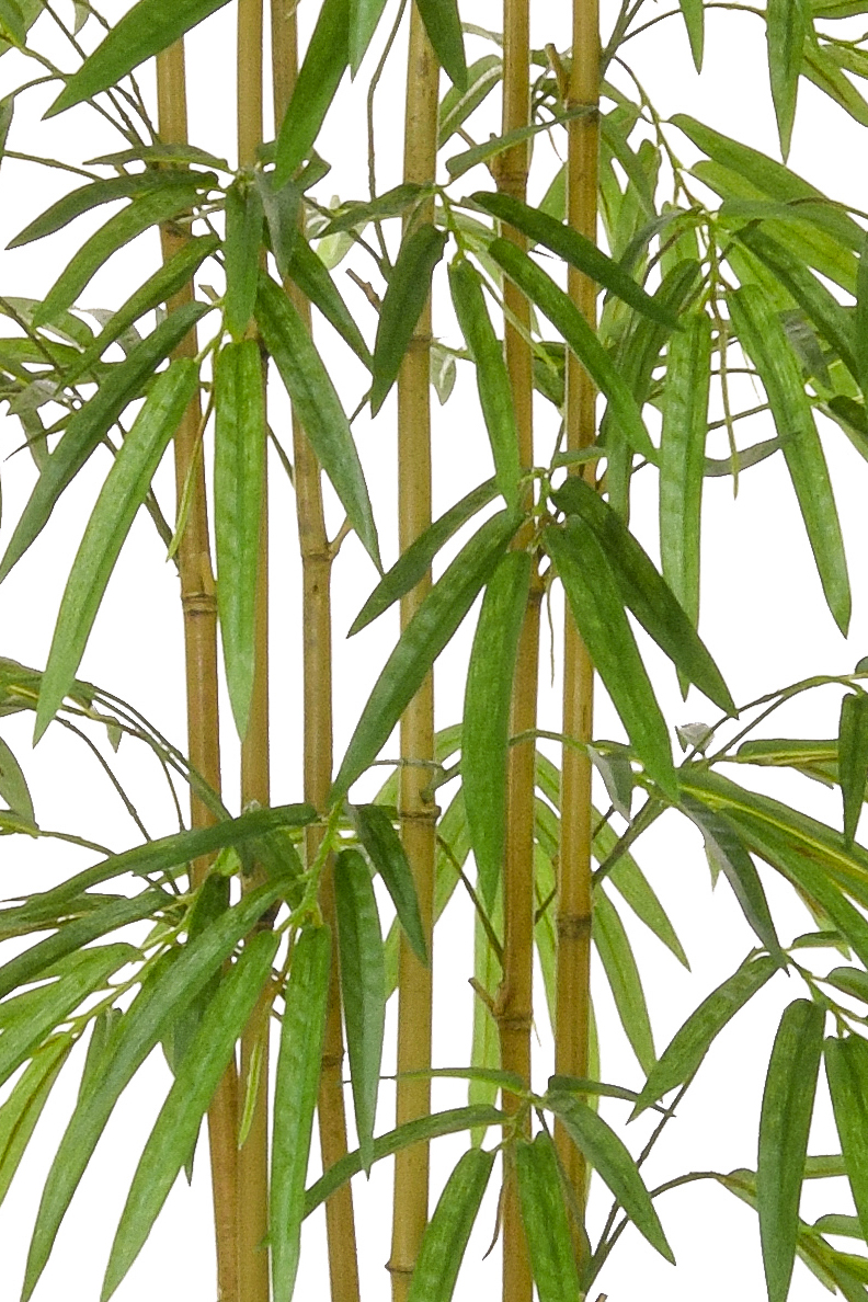 Buy Artificial Bamboo Multi-Stem Tree - Superior Quality + Fire ...