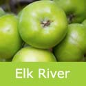 Elk River Crab Apple Tree Apples